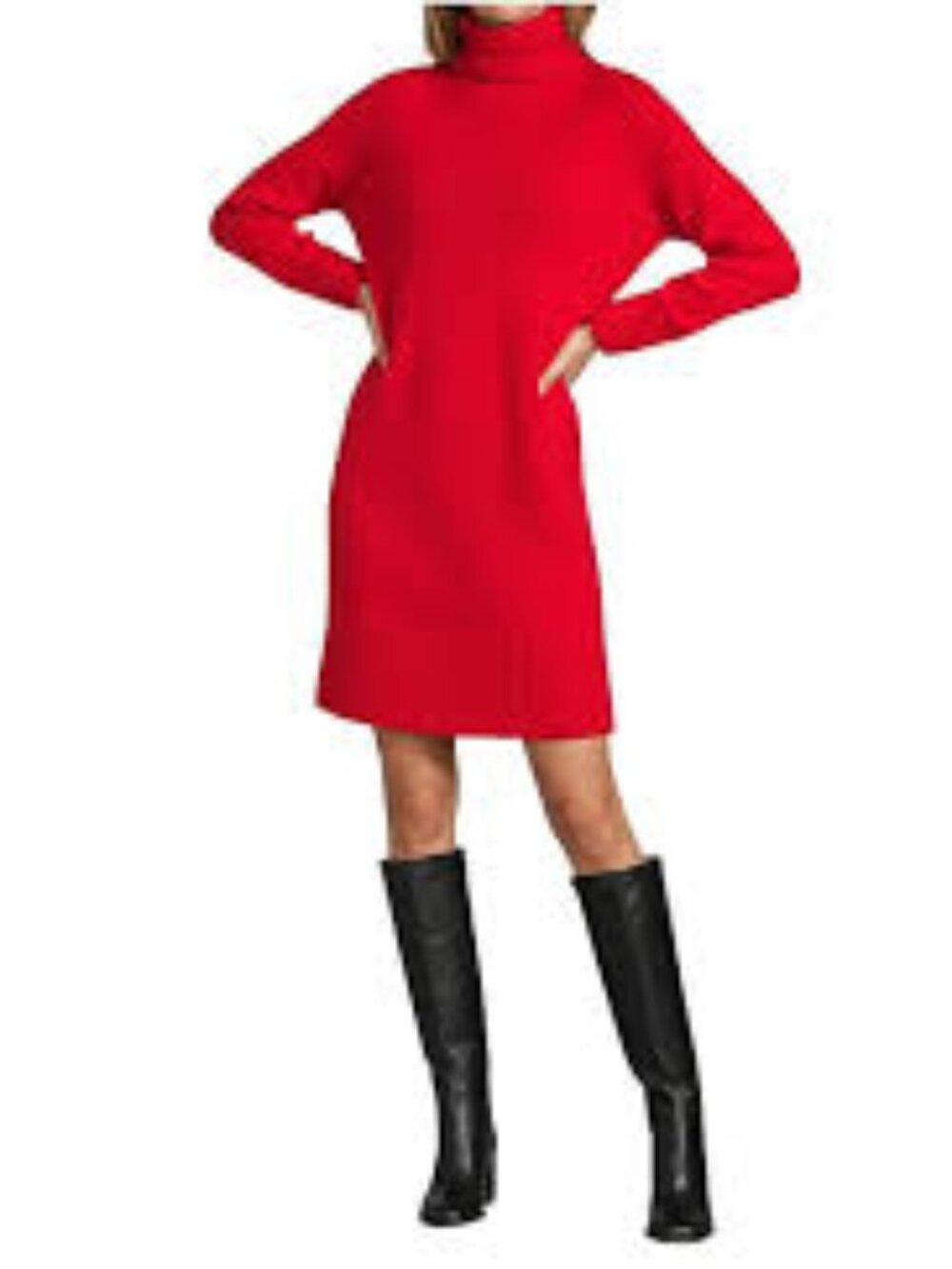 NWT Antonio Melani Scarlet Linds Cashmere Turtleneck Long Sleeve Dress